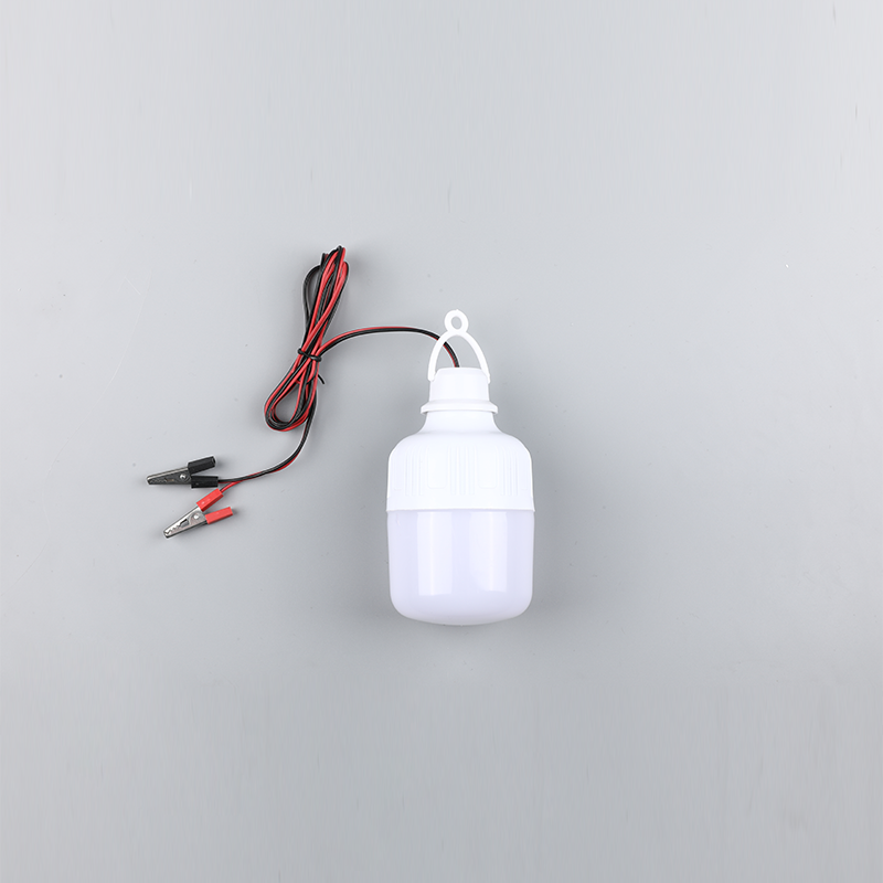 Led pære-dc12v 24v