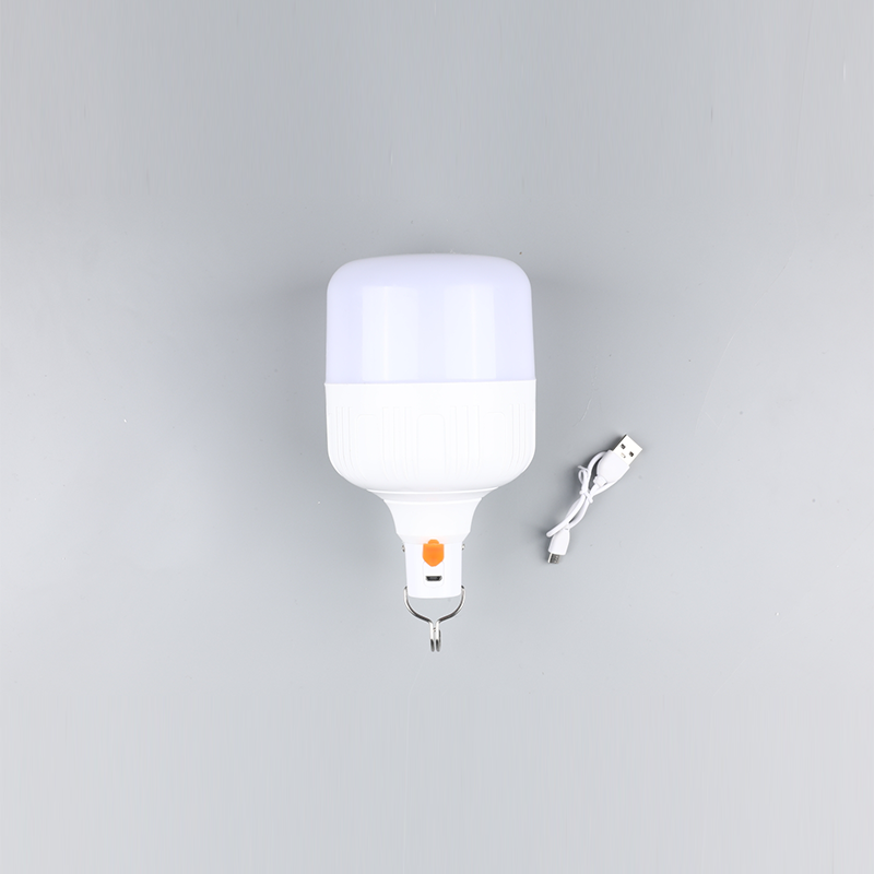 Led pære-DC 12v 24v